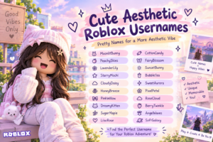 cute-aesthetic-roblox-usernames